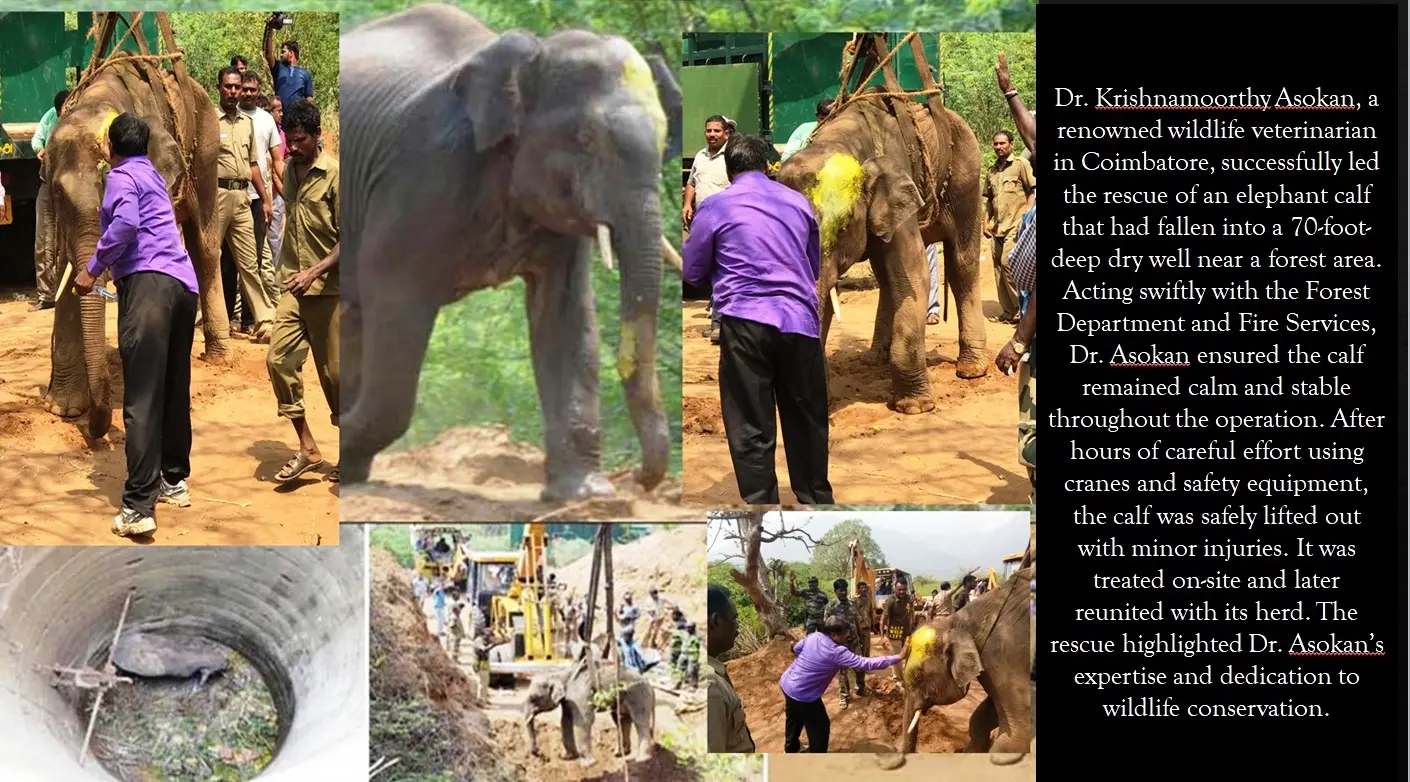 elephant calf 70 foot well rescue herd reunion