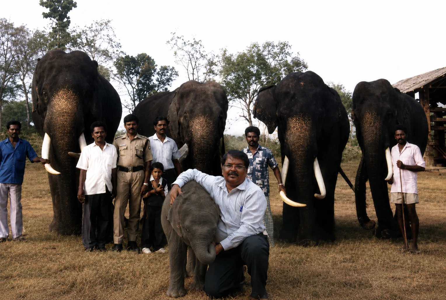 Wild Elephant Rescue & Rehabilitation