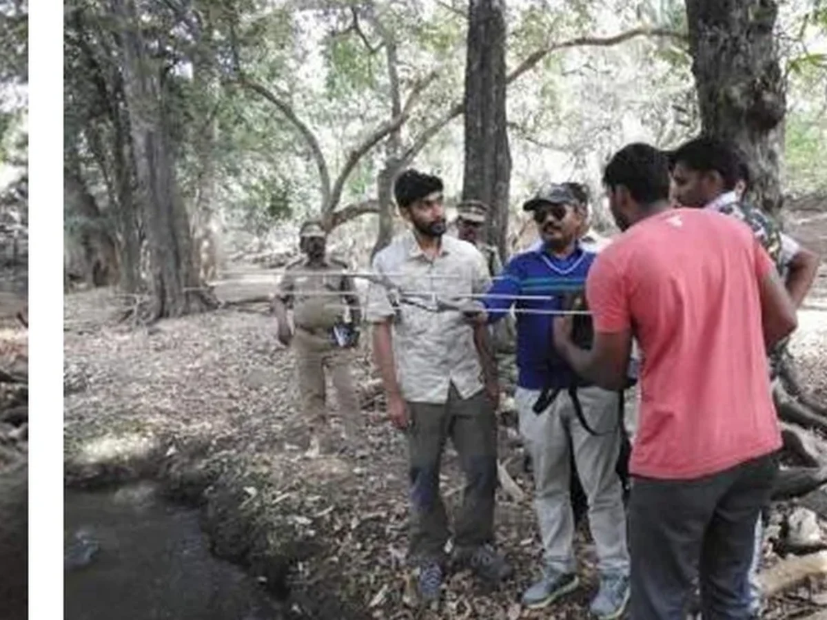 indian rock python radio telemetry real