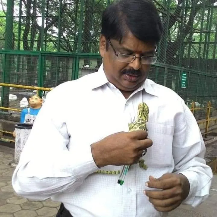 new chameleon wildlife veterinarian holding rescued chameleon