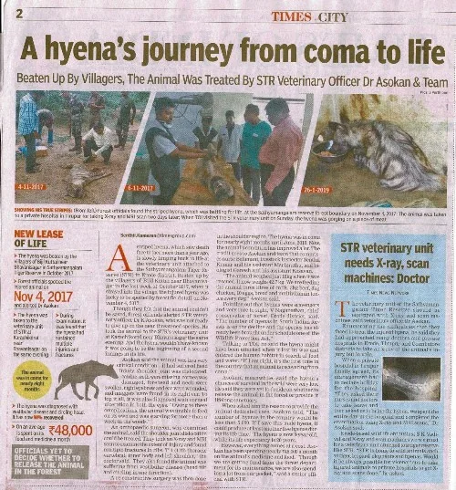 new hyena hyena coma recovery times city newspaper article