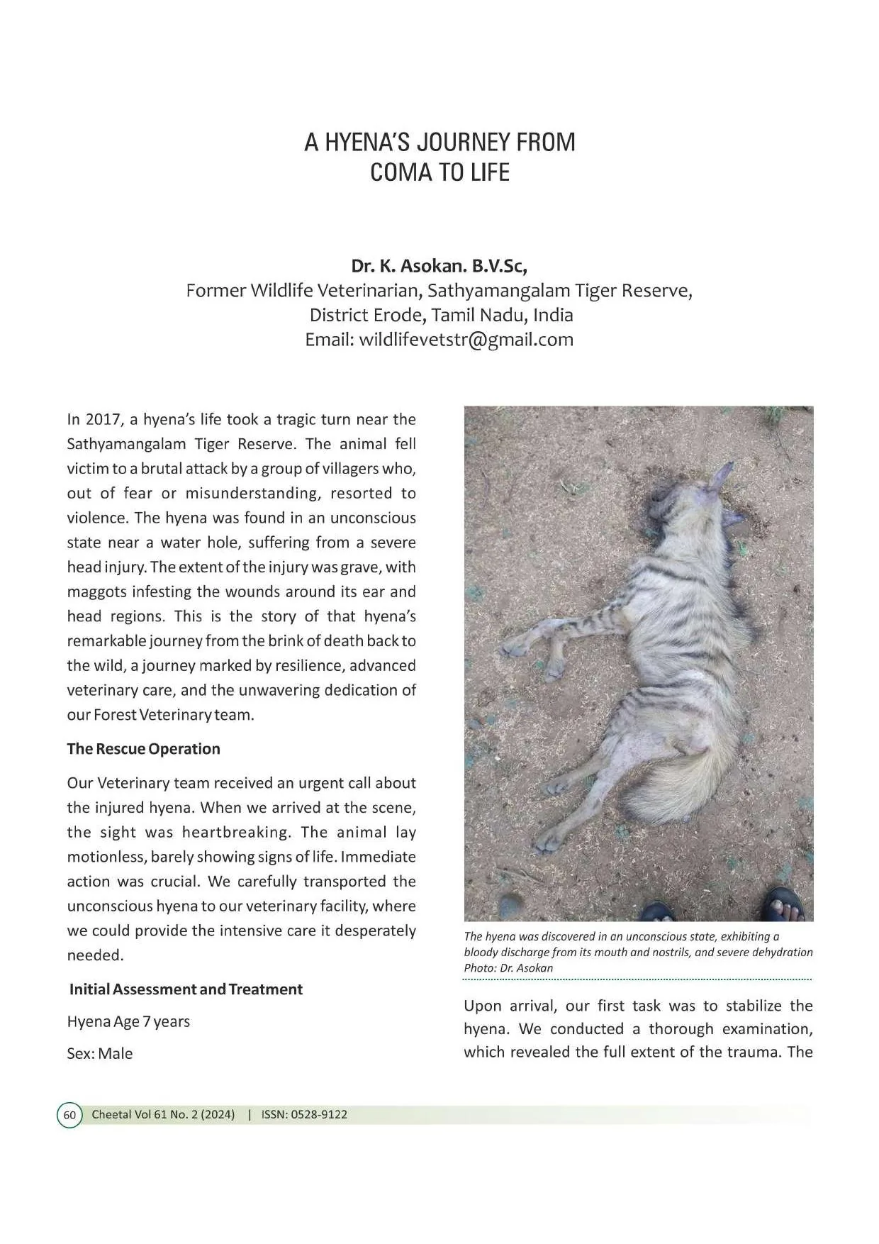 new hyena hyena journey from coma to life rescue introduction