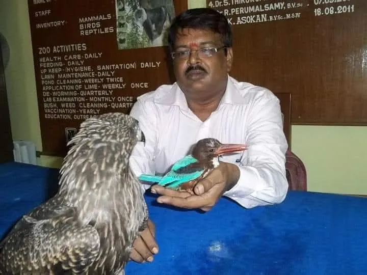 Bird Conservation – Rescue & Rehabilitation