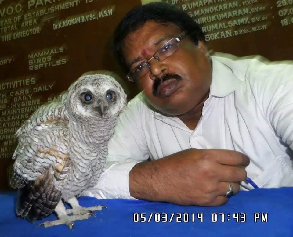 wildlife veterinarian with rescued spotted owl