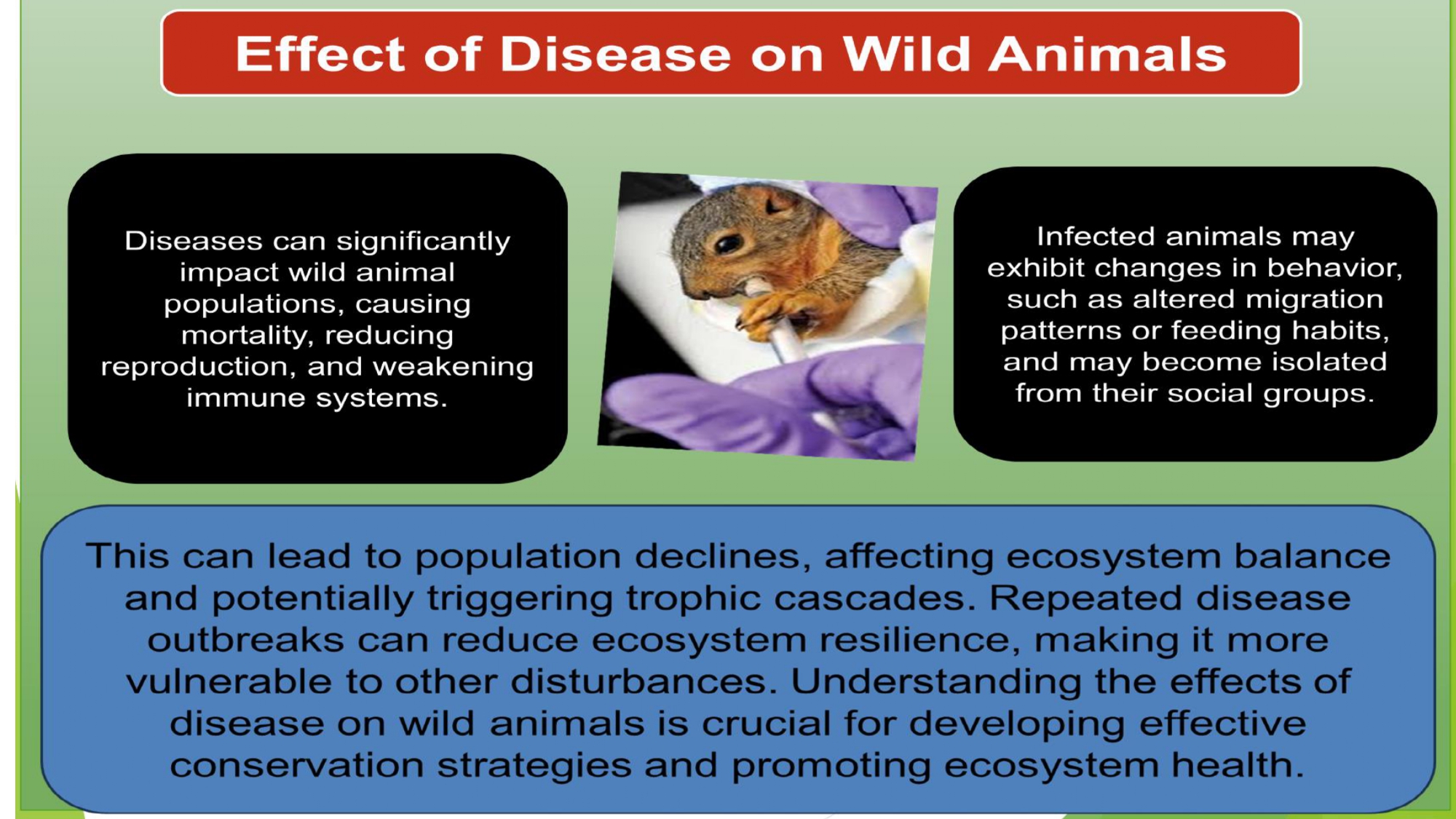 Presentation2 page 0021