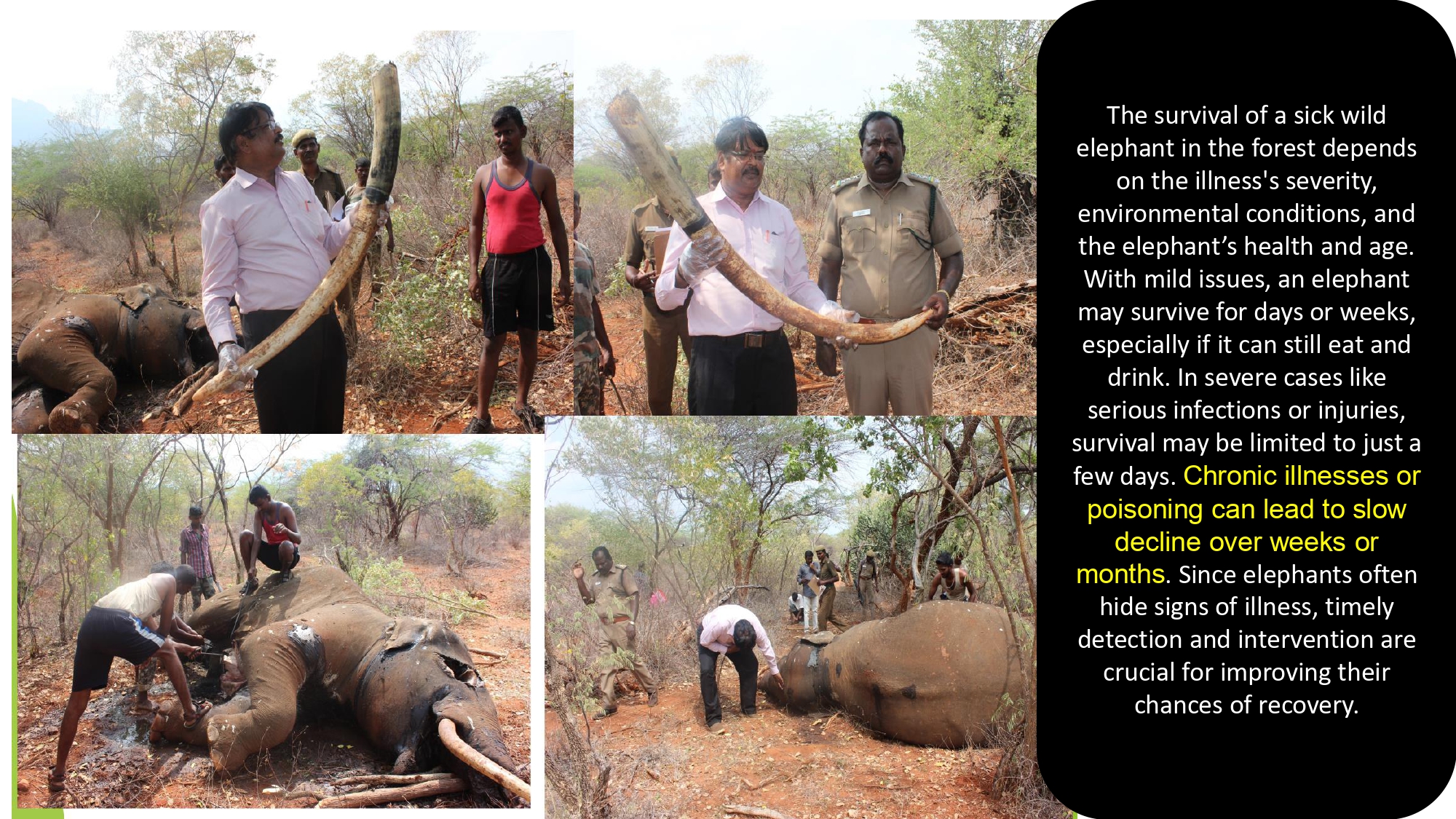 Presentation2 page 0233