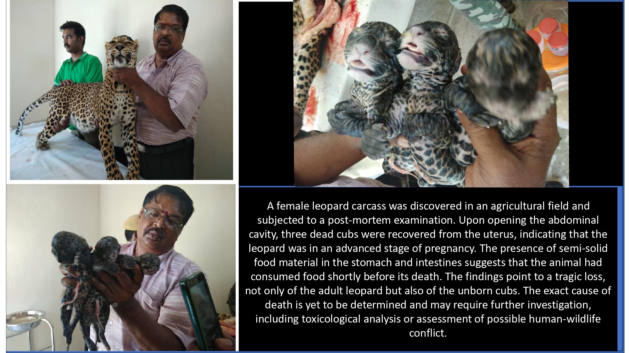 Presentation2 page 0261