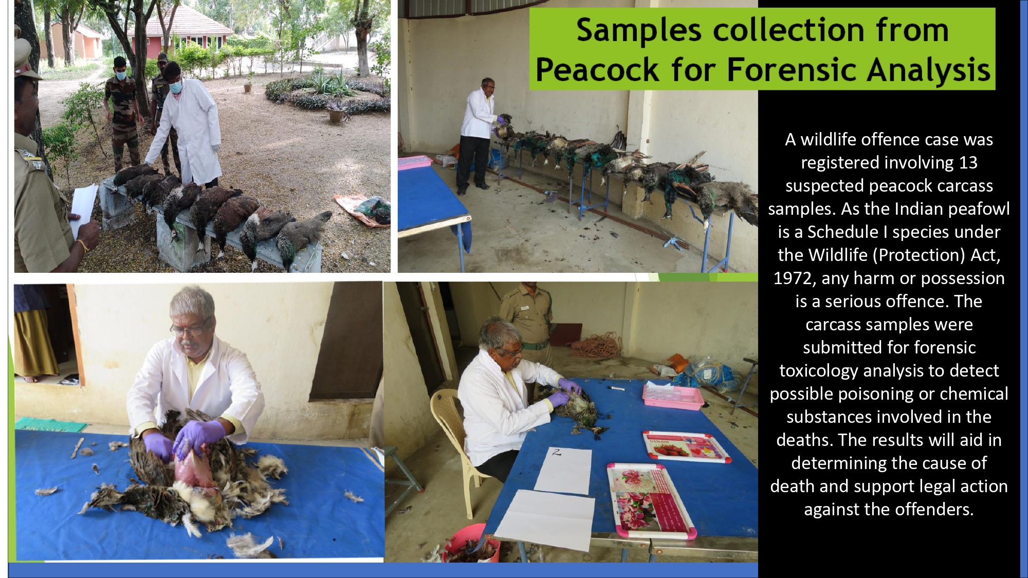 Presentation2 page 0274