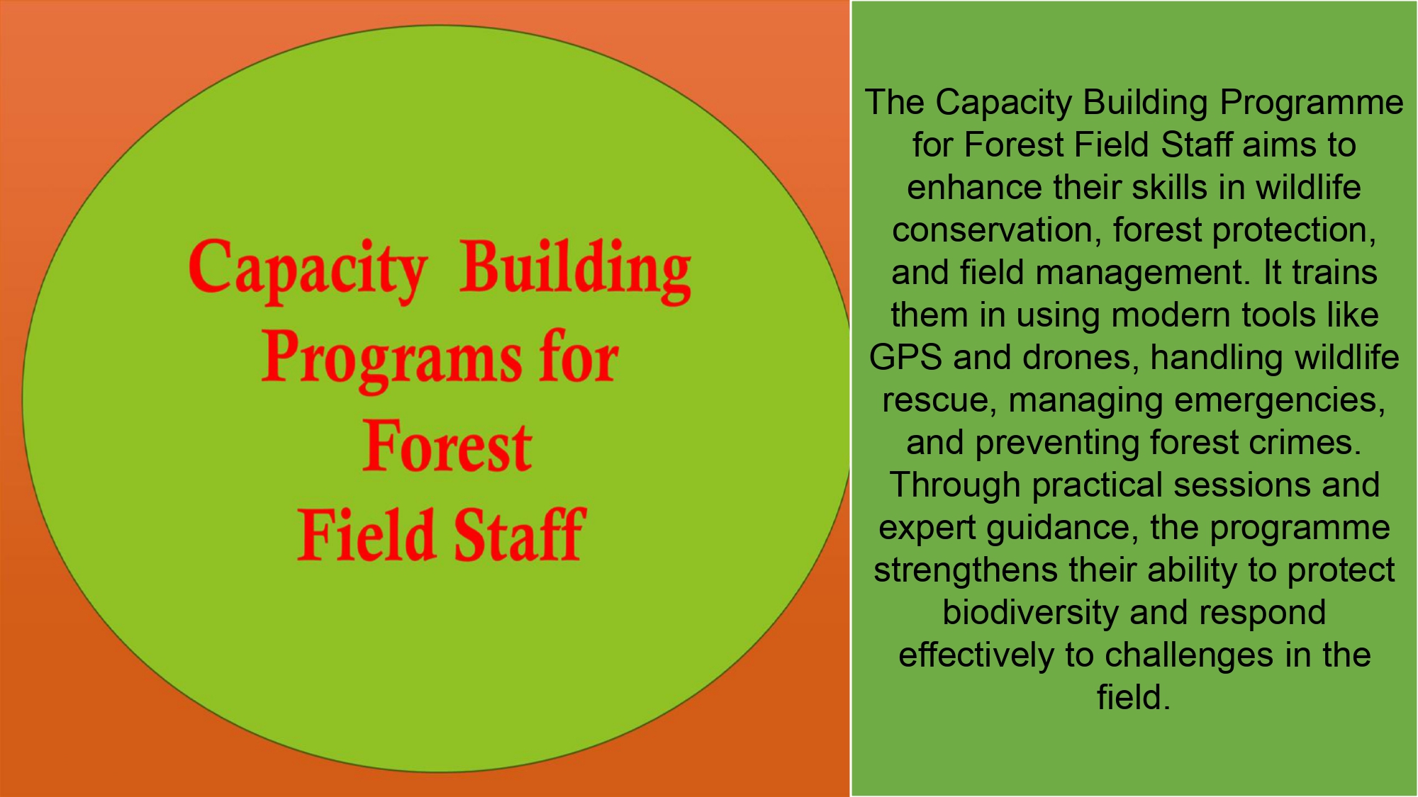 Presentation2 page 0278