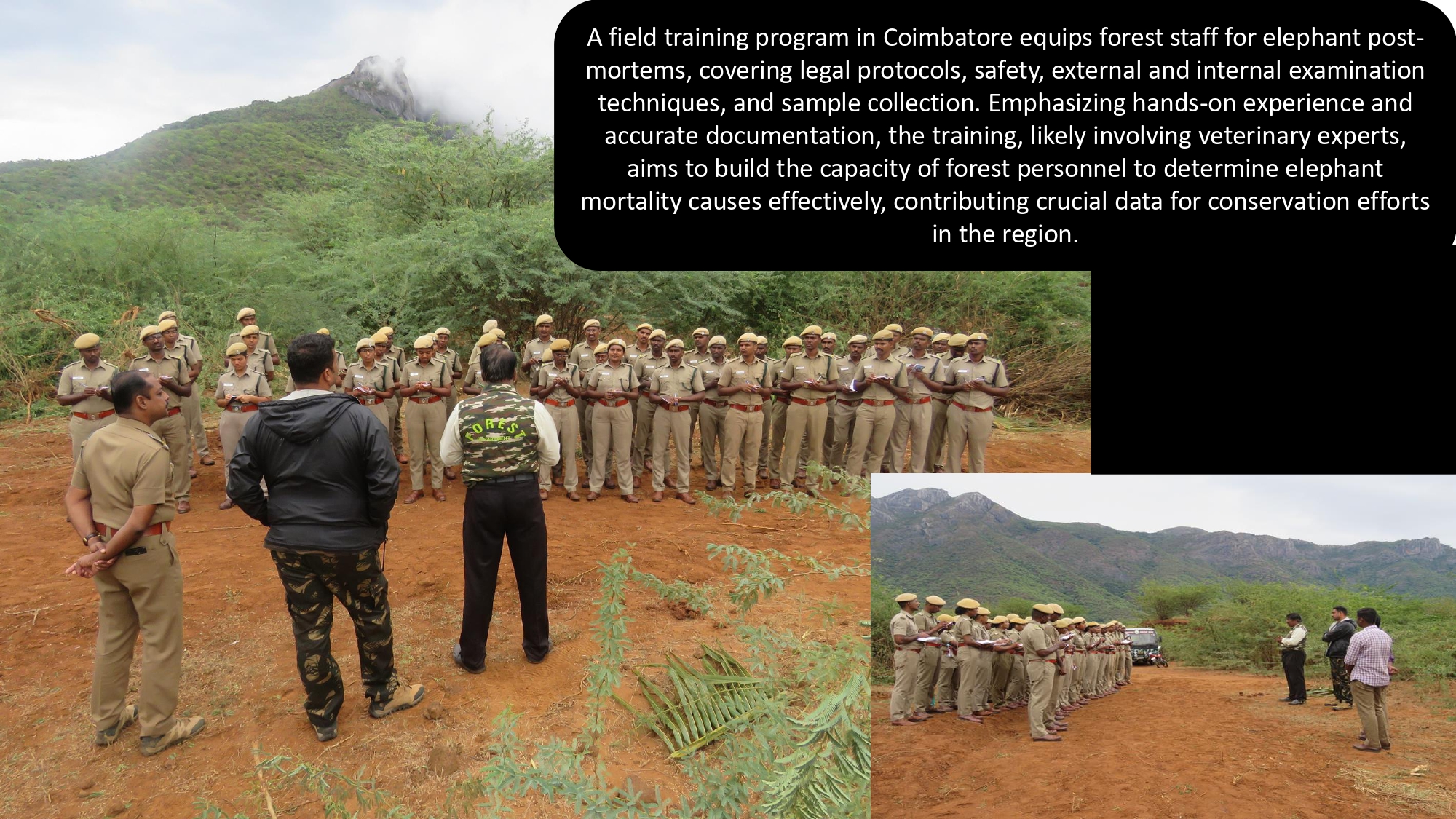 Presentation2 page 0289