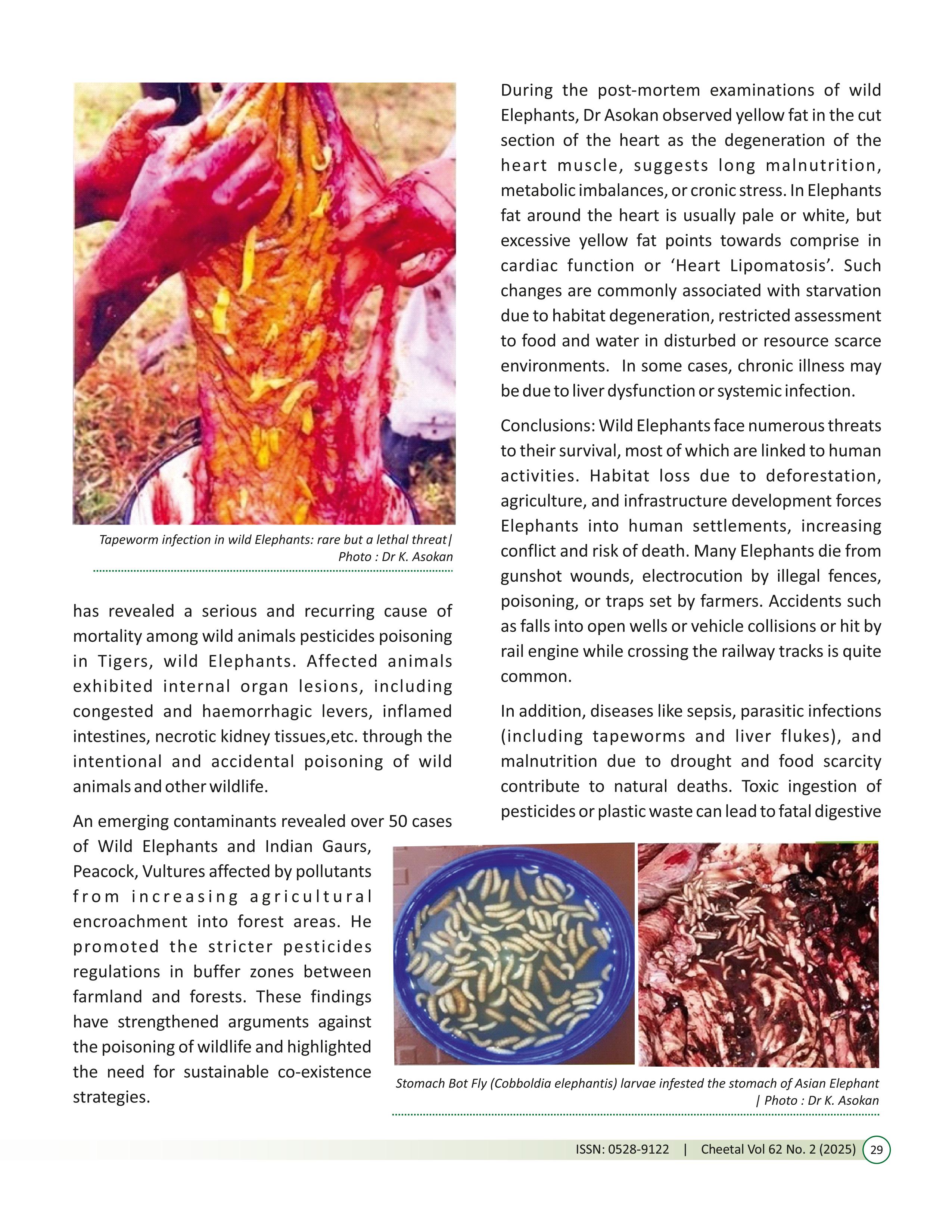 Vol. 62 No. 2 (2025) images 30