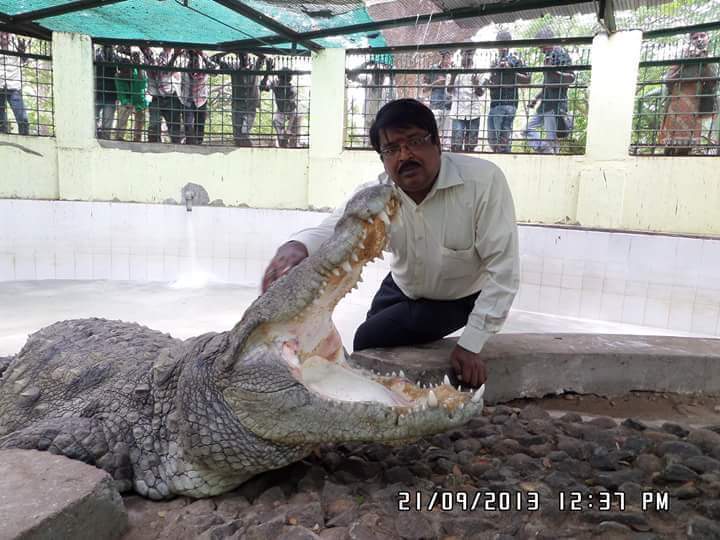 IMG 20250815 WA0441